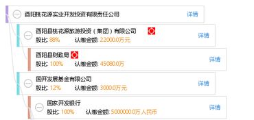 酉阳桃花源实业开发投资有限责任公司 投资兴办实业的战略与实践