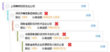上海尊荣投资实业公司 实业投资之路与战略实践