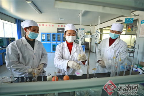 红河州铆足劲抓好复工复产